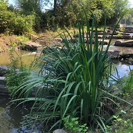 Hotel Haus Am Rieth 3*