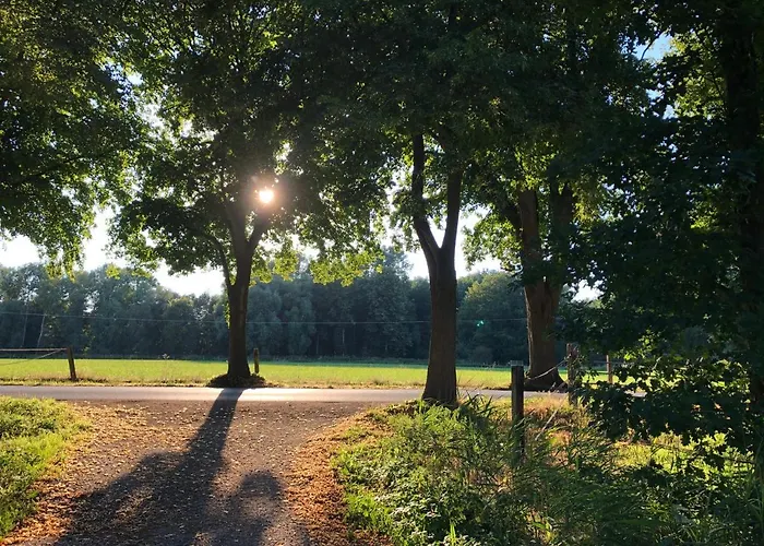 Haus Am Rieth فندق نتيتال