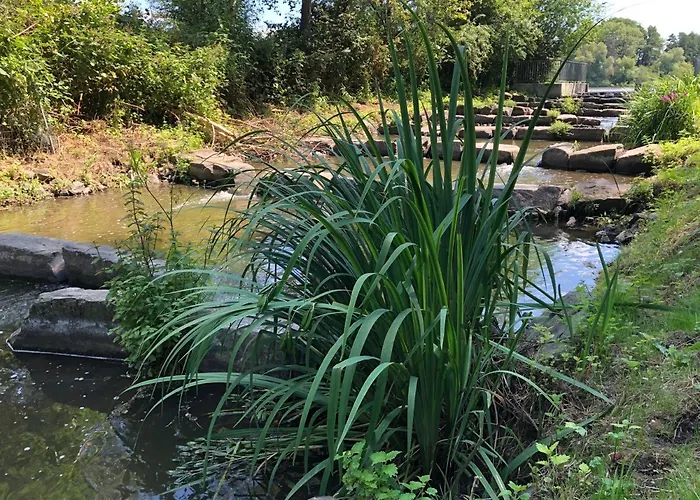 Hotel Haus Am Rieth 3*