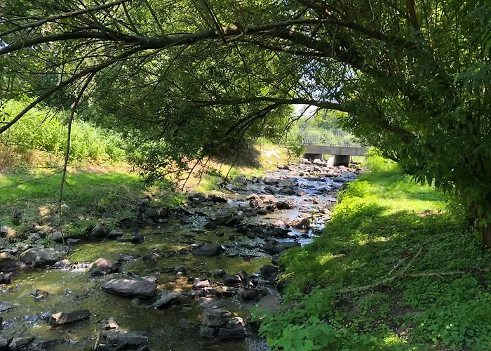 فندق Haus Am Rieth 3*